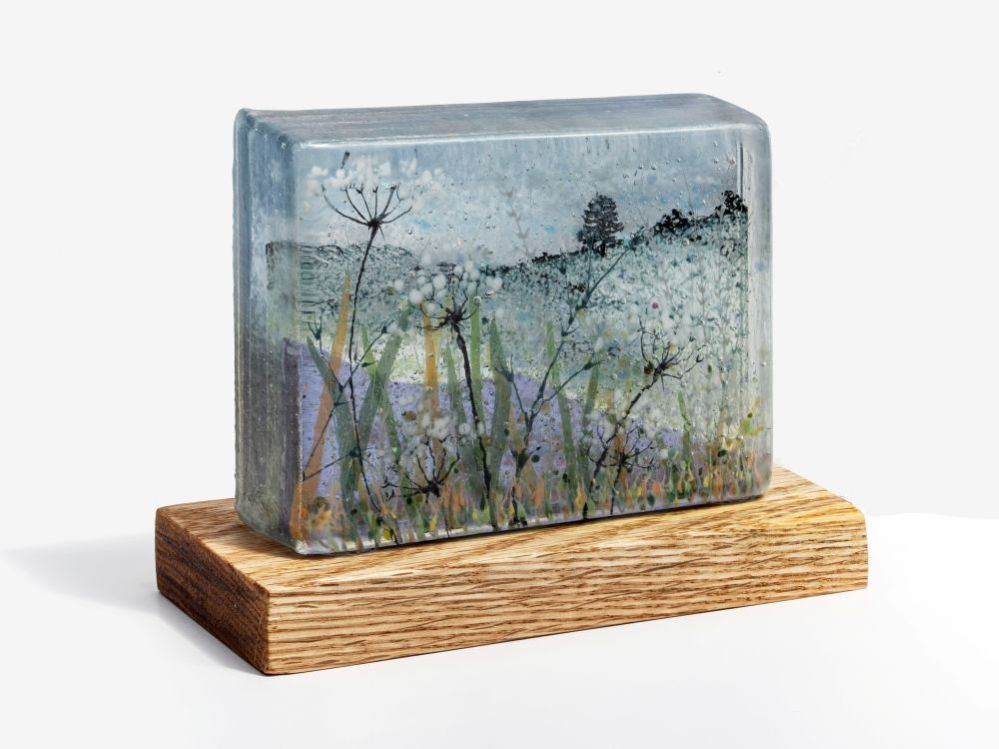 Morning Light Morning Light